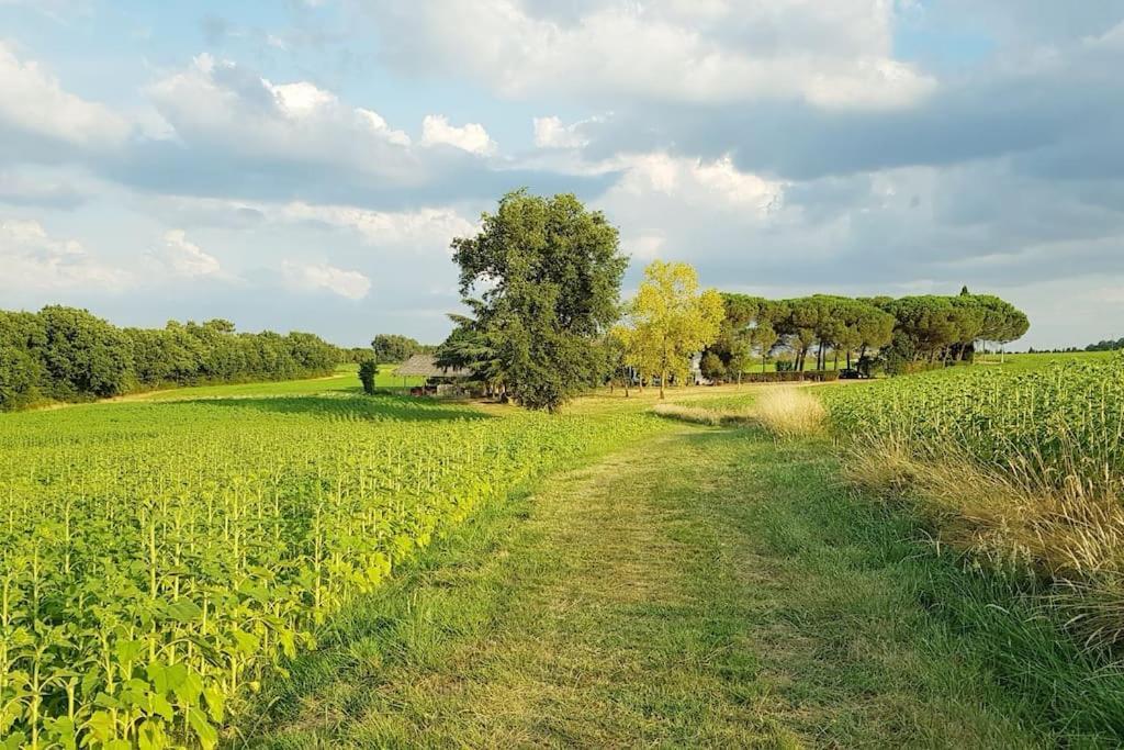 Gite De Campagne L'Estressol Cuq  외부 사진